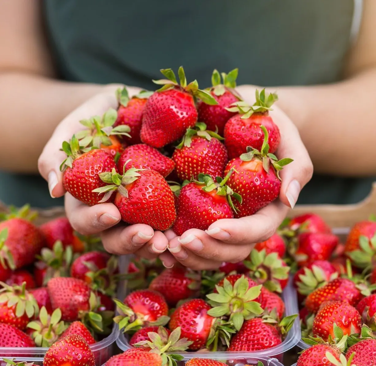 A Guide to Yarra Valley’s Farmer’s Markets and Local Produce