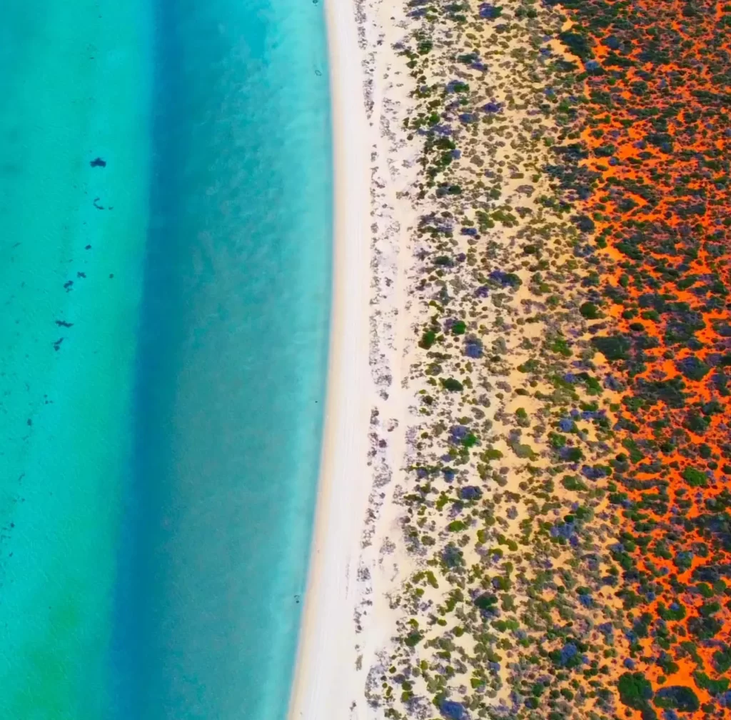 Shark Bay Marine Park