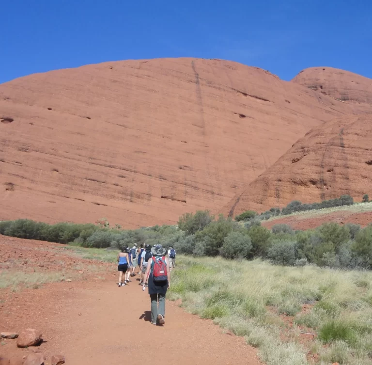 Camping Near Uluru: Best Spots for an Outdoor Adventure