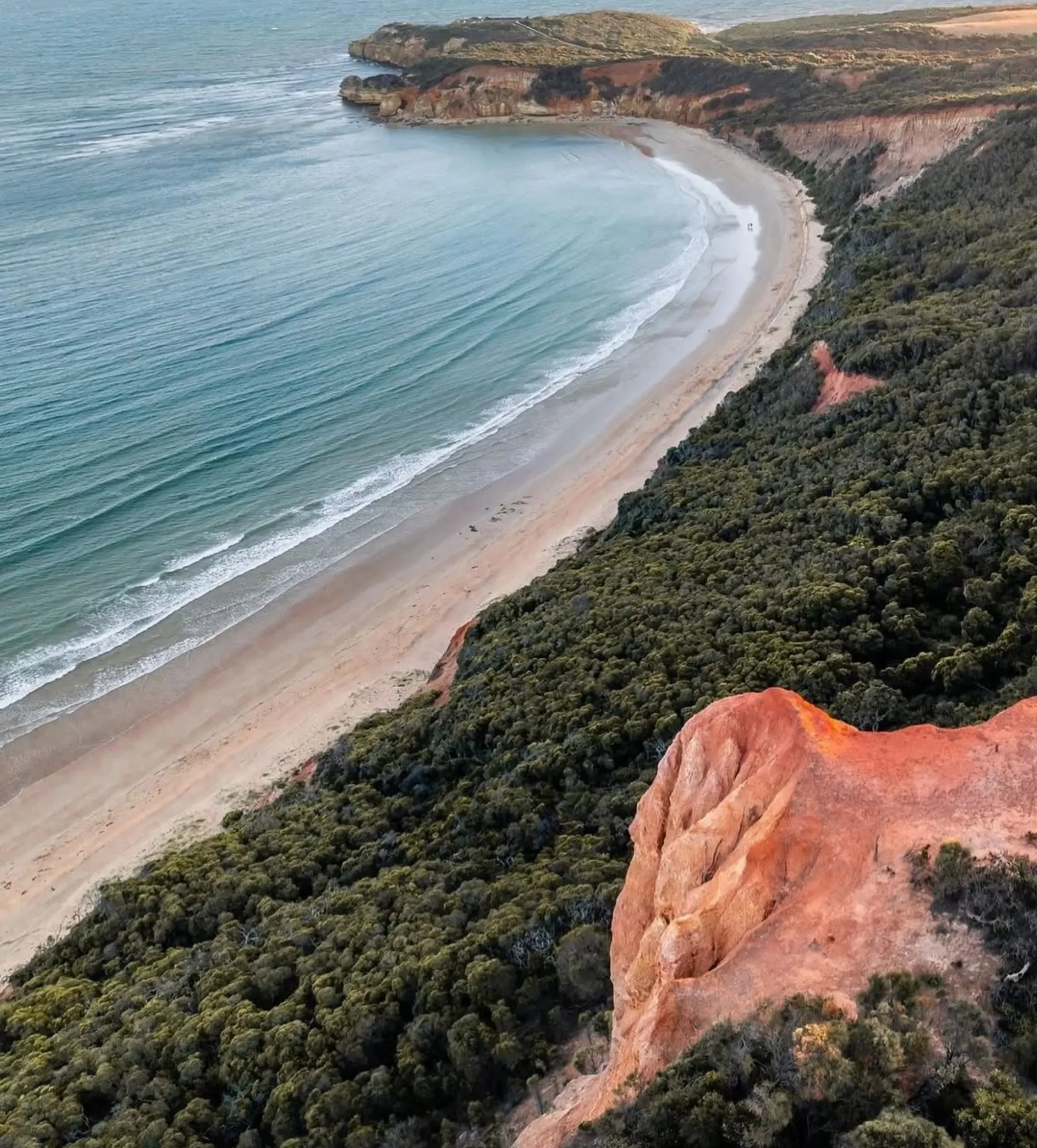 Great Ocean road day tour from Melbourne