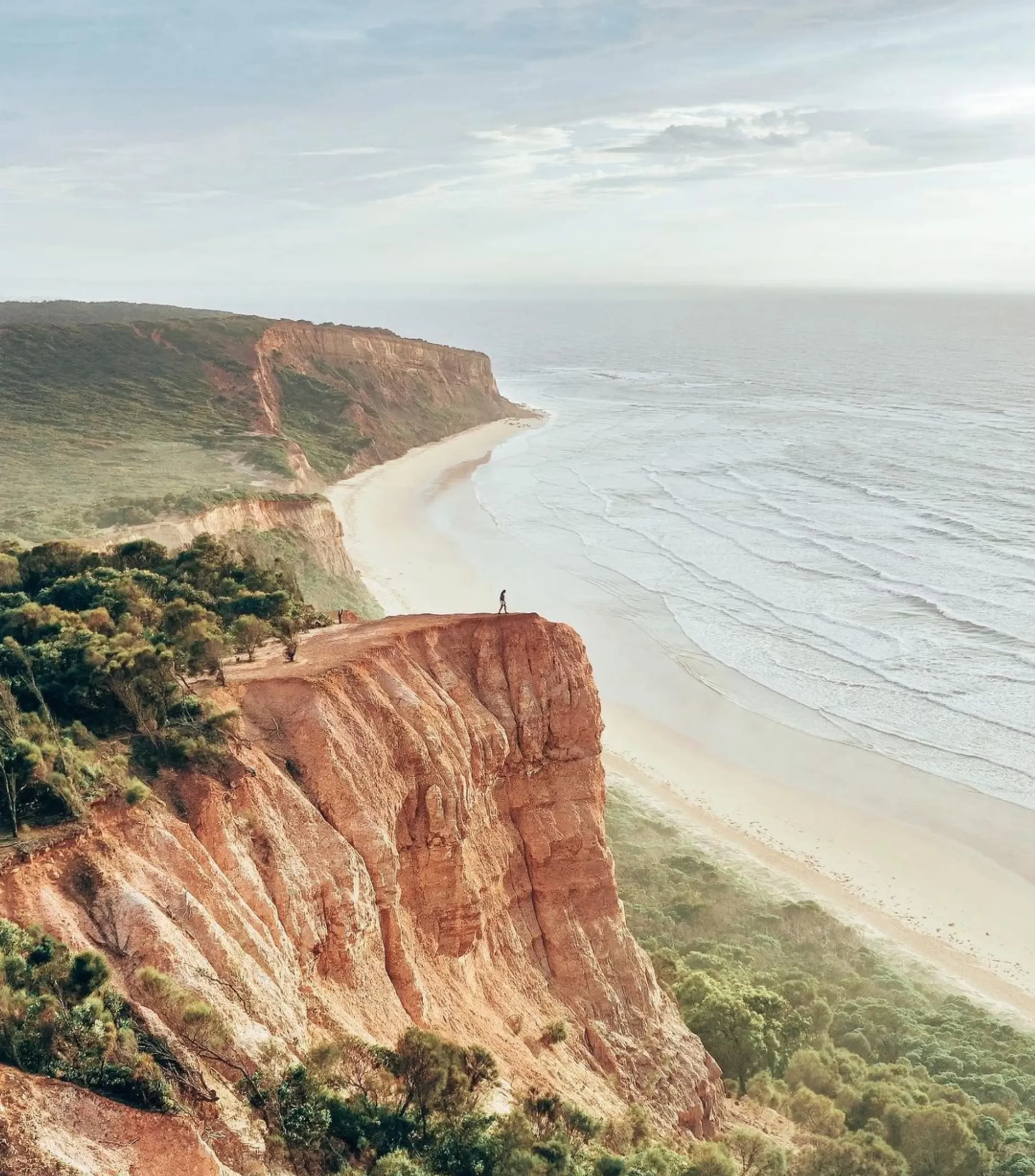 Great Ocean tour Melbourne