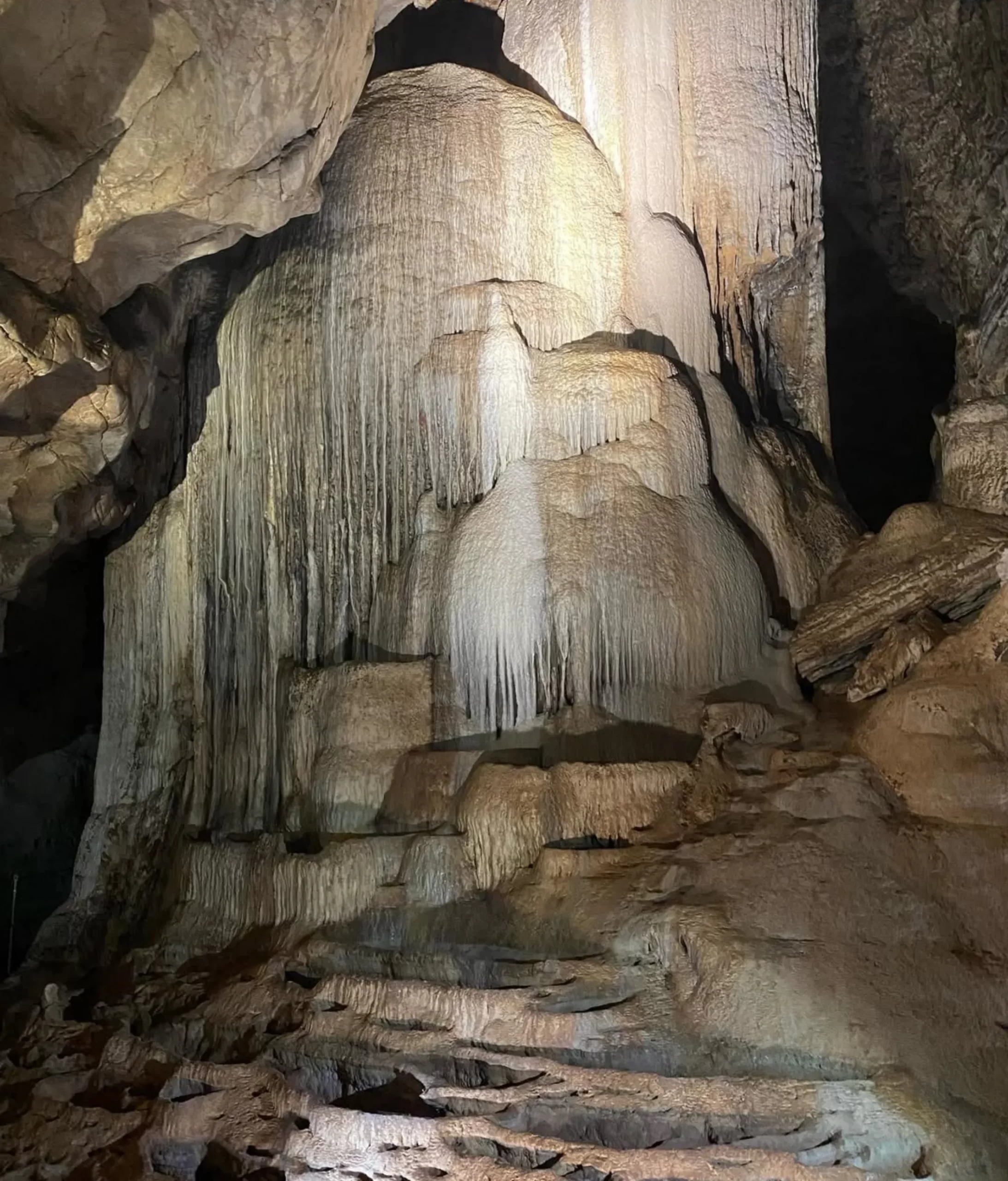 Wellington Caves – Unique caves with stalagmites and stalactites