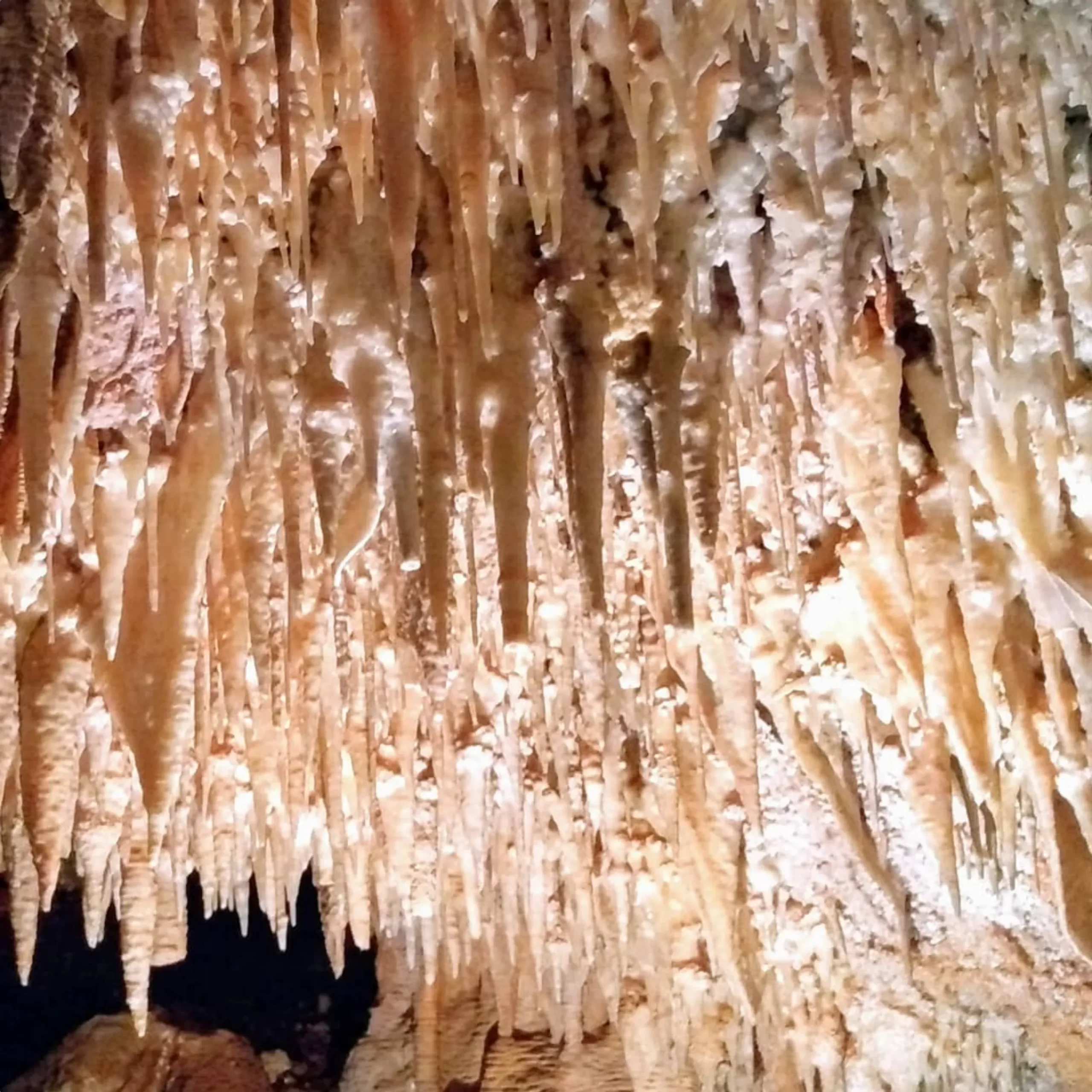 baby stalactites, Blue Mountains