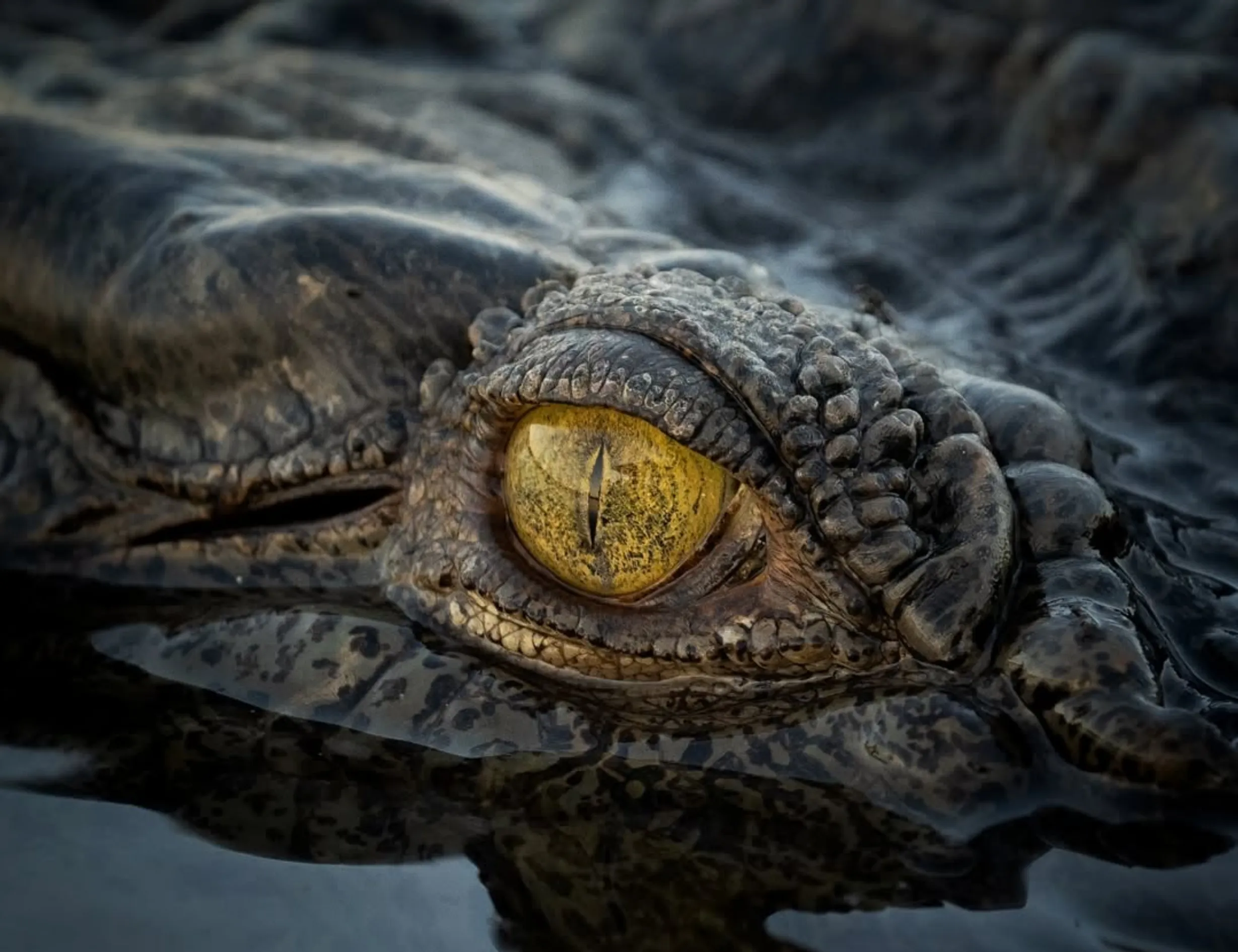 Kakadu National Park sacred