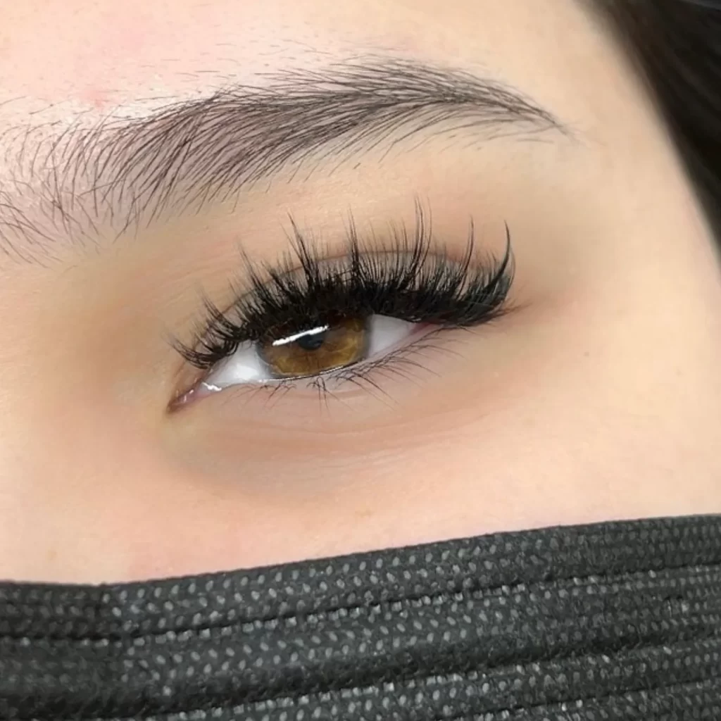 lash lamination brisbane