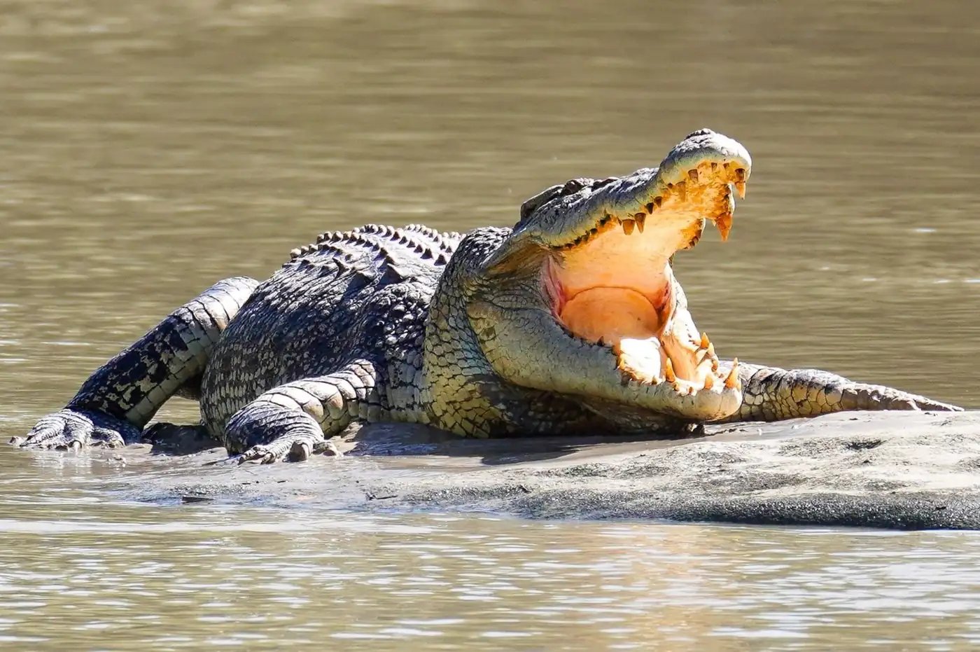 best Darwin tours