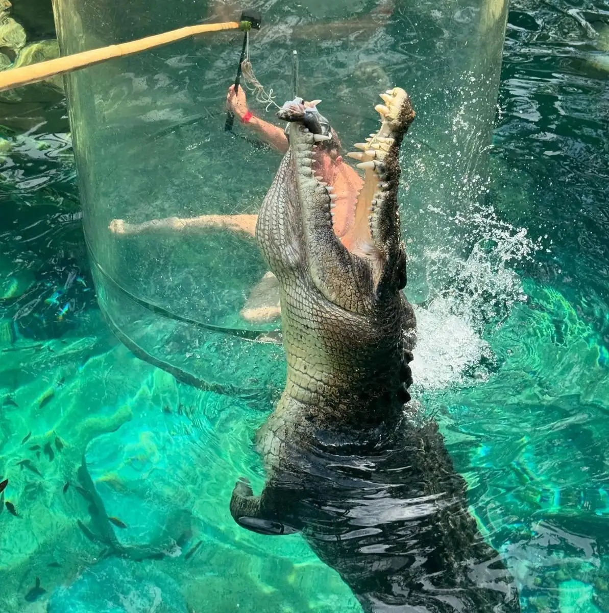 Darwin’s Wildlife Parks – A Safe Bet