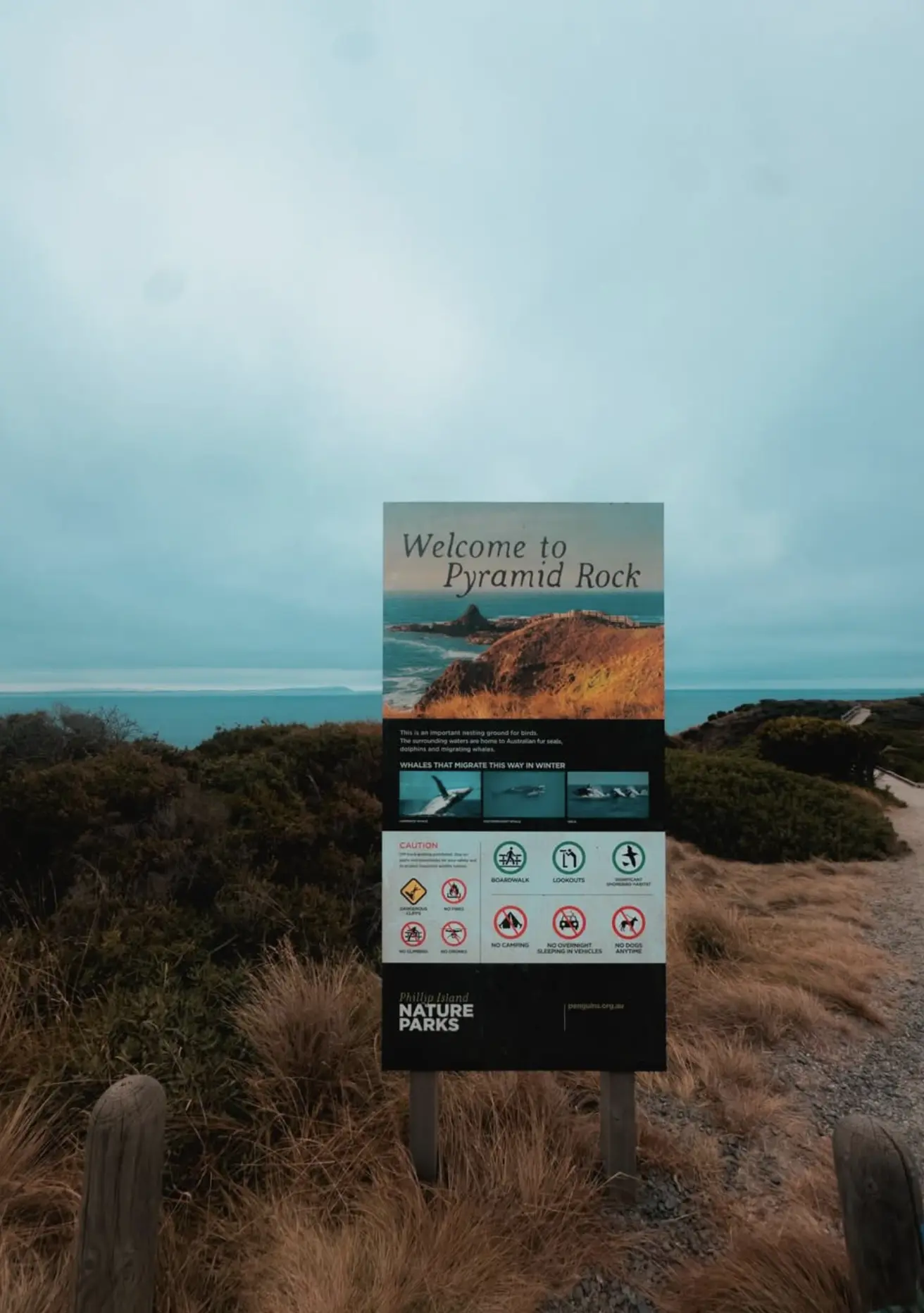 phillip island in winter