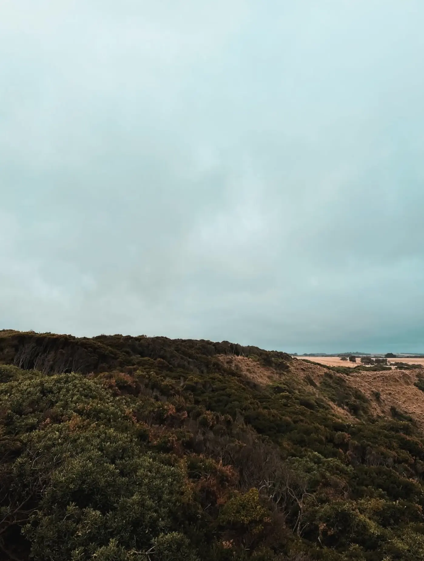 phillip island weather