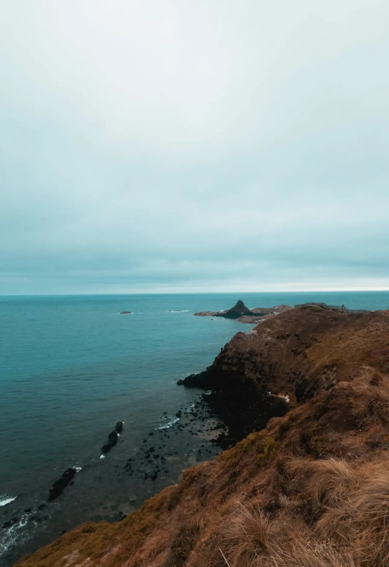 things to do in phillip island in winter