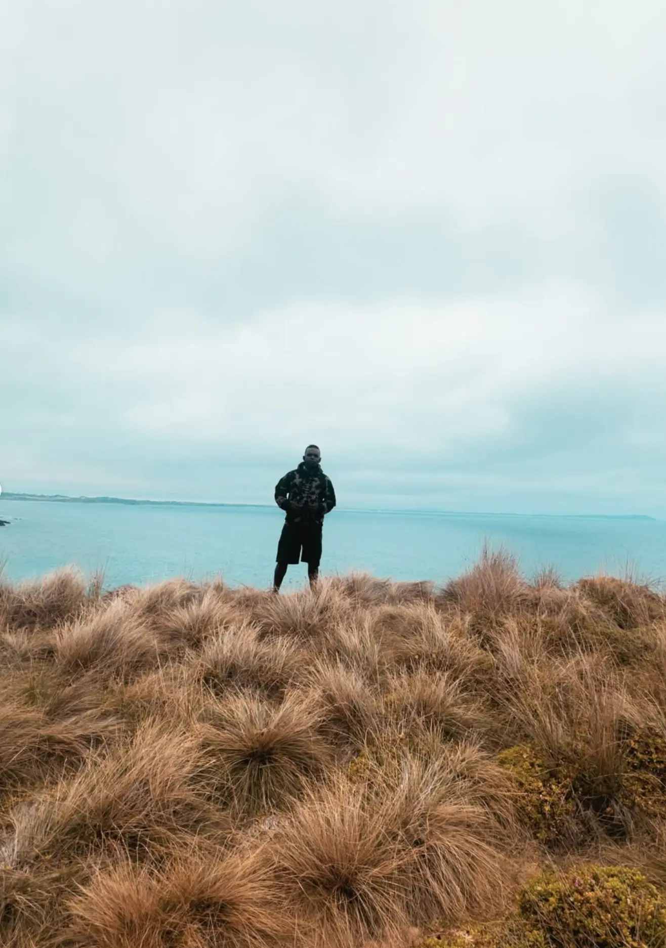when to visit phillip island