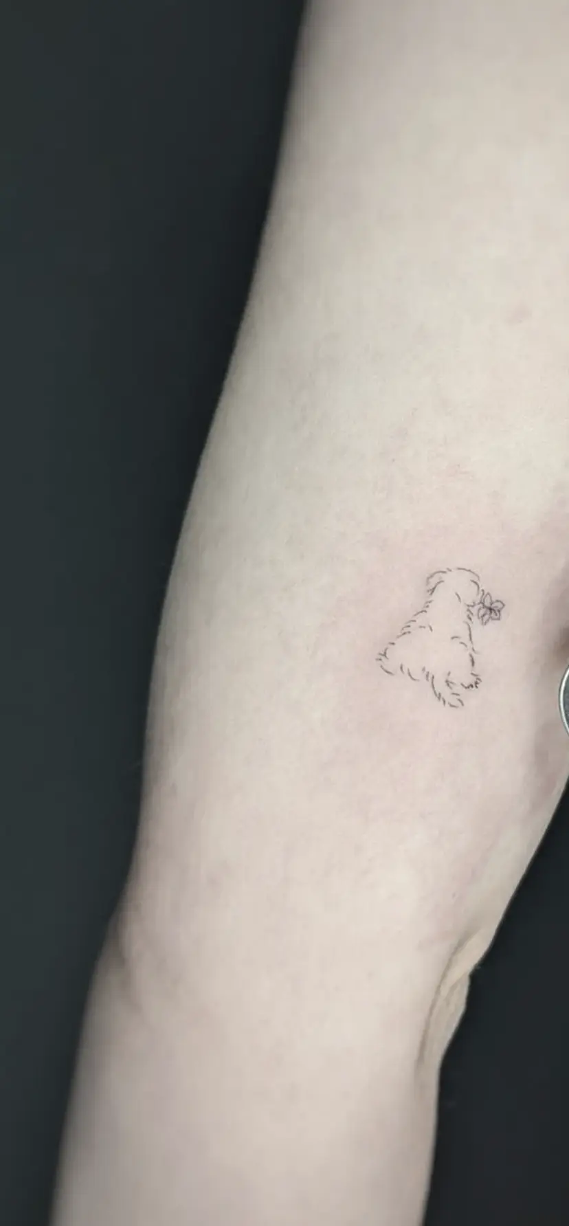 fine line tattoo healing